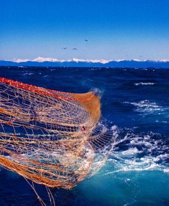 Image showing a trawl net being deployed overboard at sea