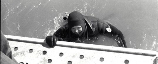 Diver Val Gruno surfaces after dive on the Georgiana