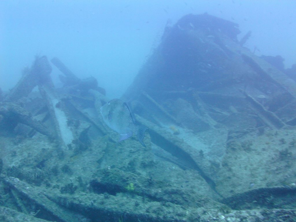 Wreck of the Ashkhabad, photo via Wikipedia 