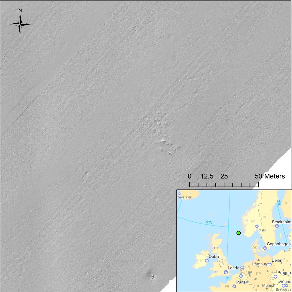 Sonar image of aircraft wreckage, with insert map showing site location